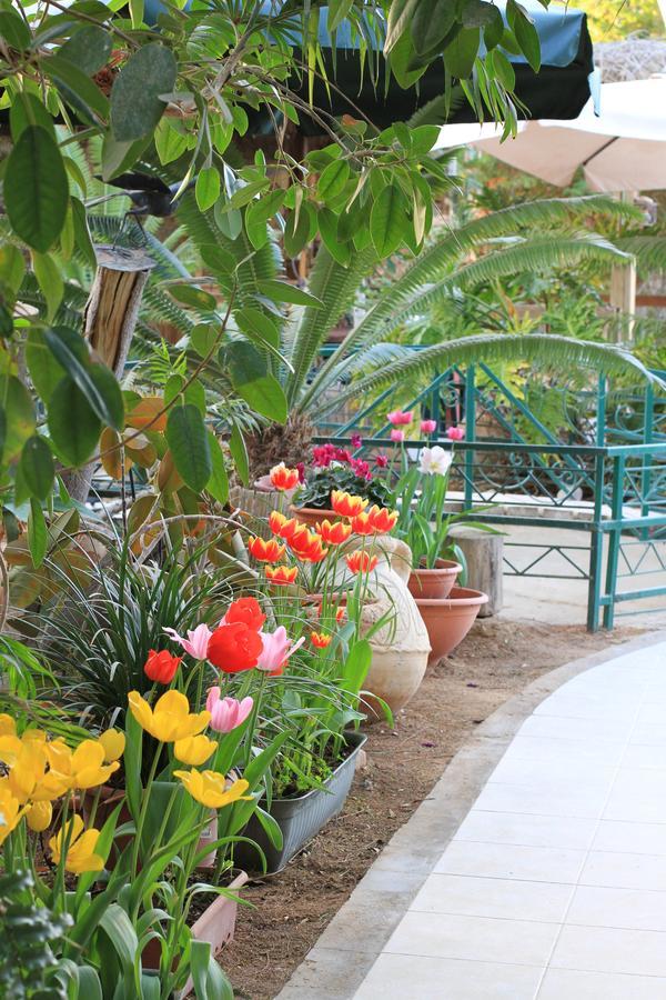 Idan Lodge In The Arava Paran Экстерьер фото